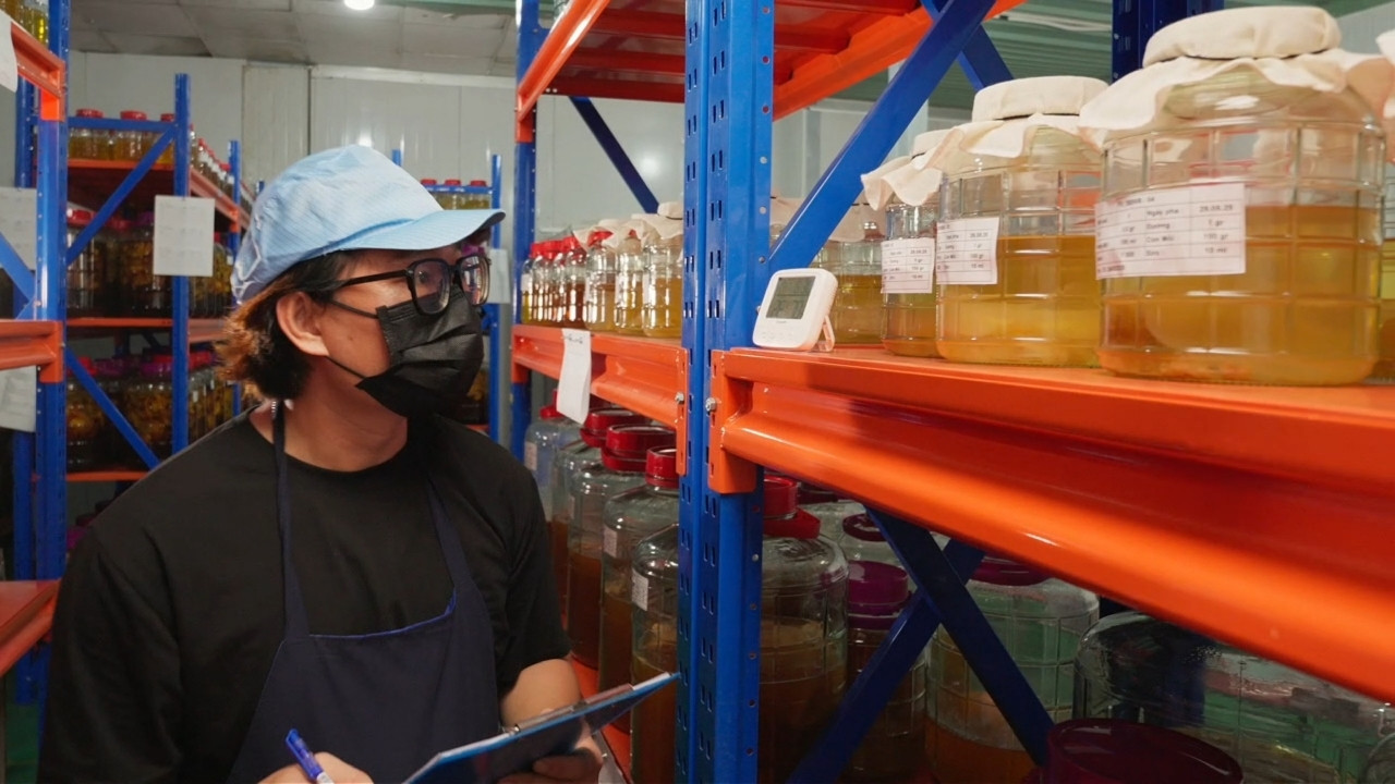 chế biến tối giản lên men